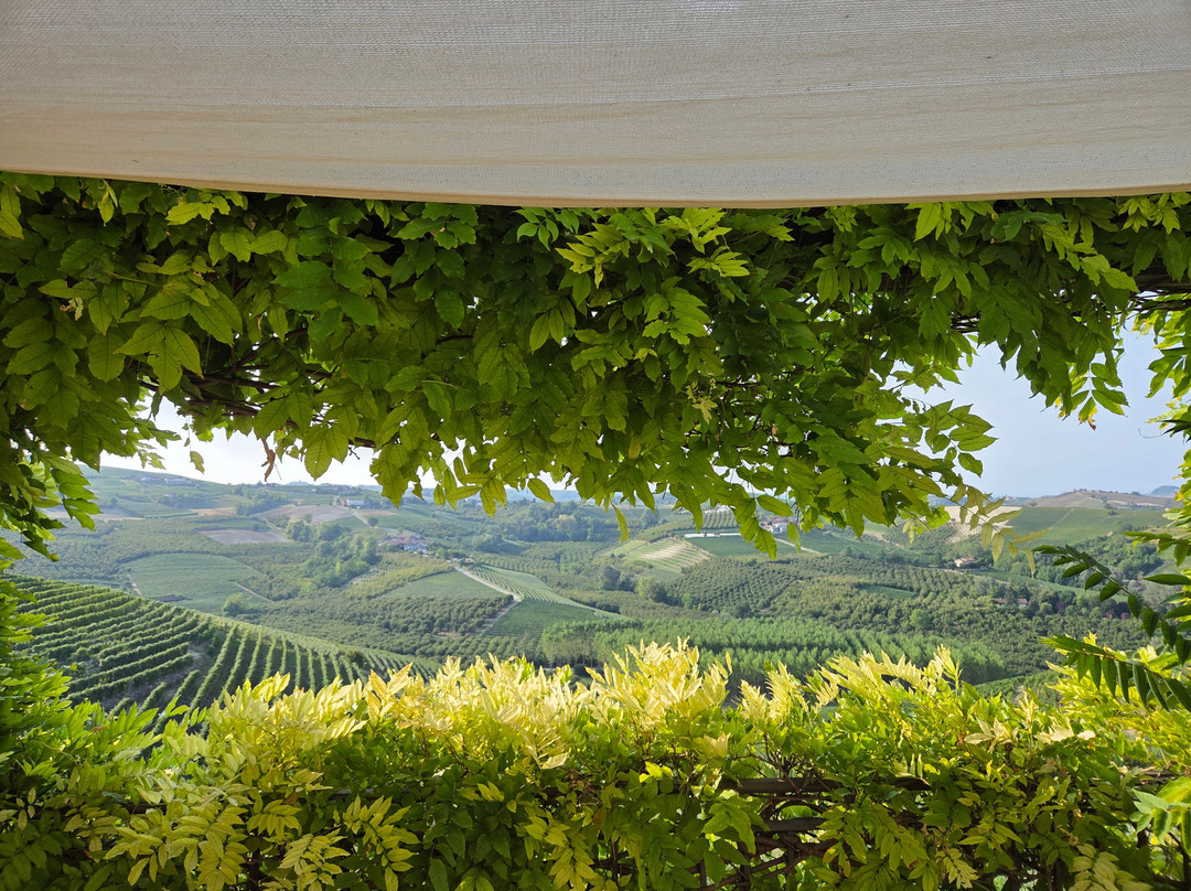 Valle Talloria酒店住宿-Poggio dei Farinetti