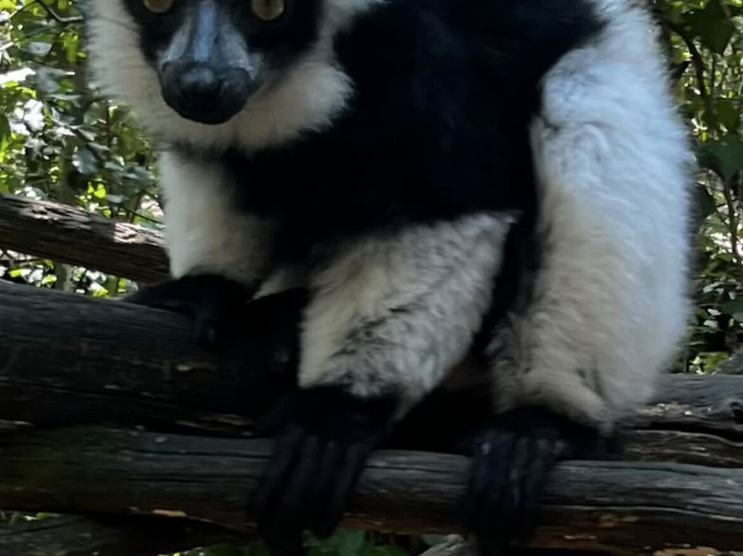 Réserve Zoologique De Calviac-Calviac-en-Perigord必去景点