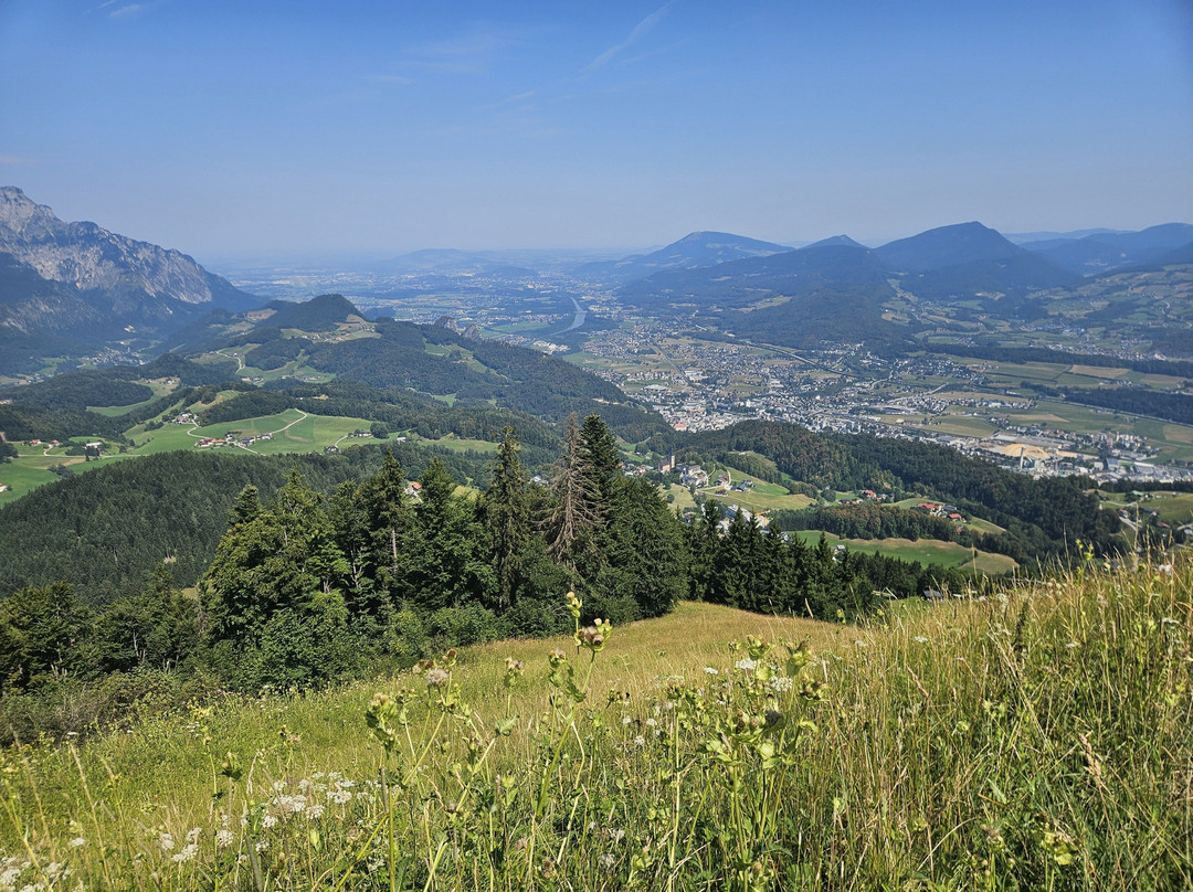 Sommerrodelbahn Keltenblitz-泉杜伦山必去景点
