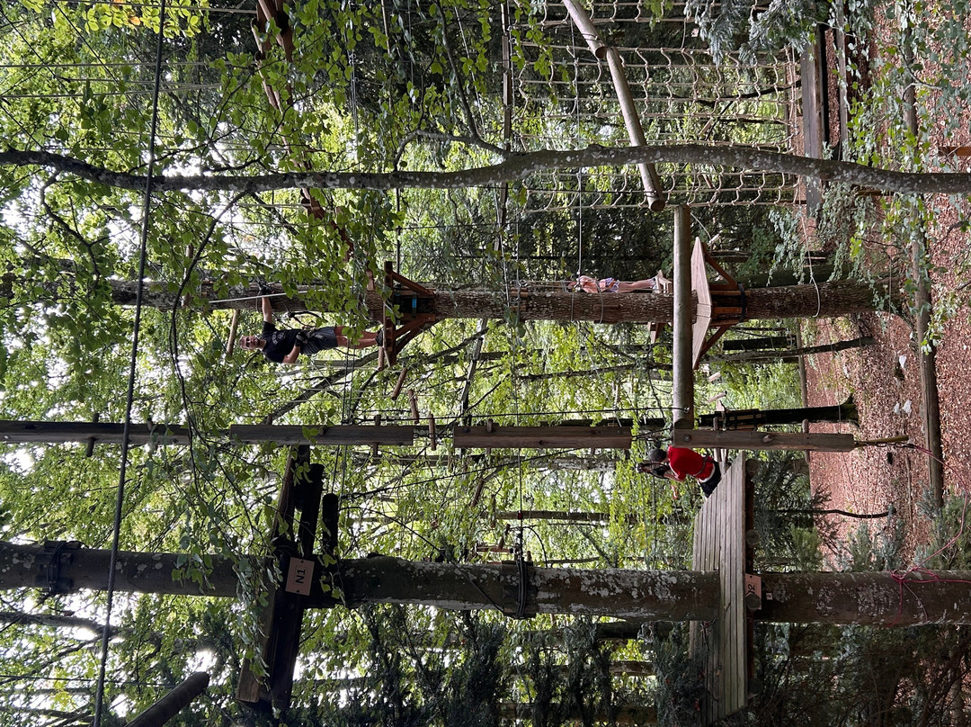 Parc Aventure Chaumont-Chaumont-de-Pury必去景点
