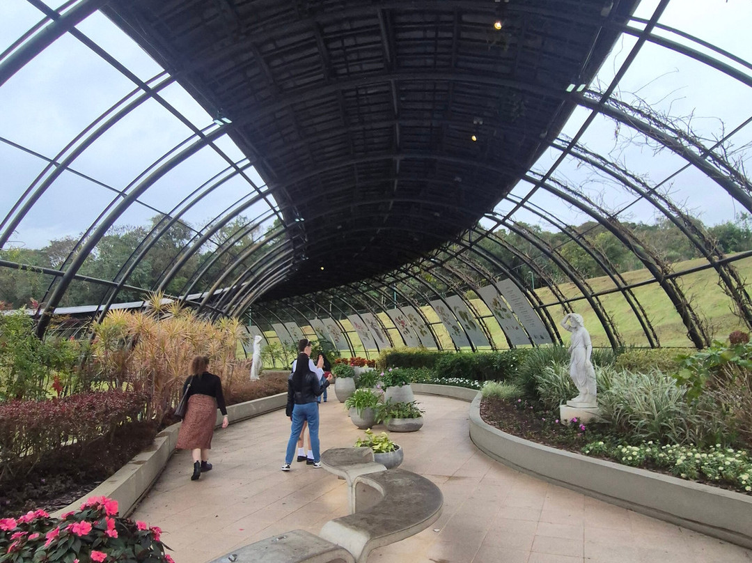 Jardim Botânico de Curitiba-库里提巴必去景点