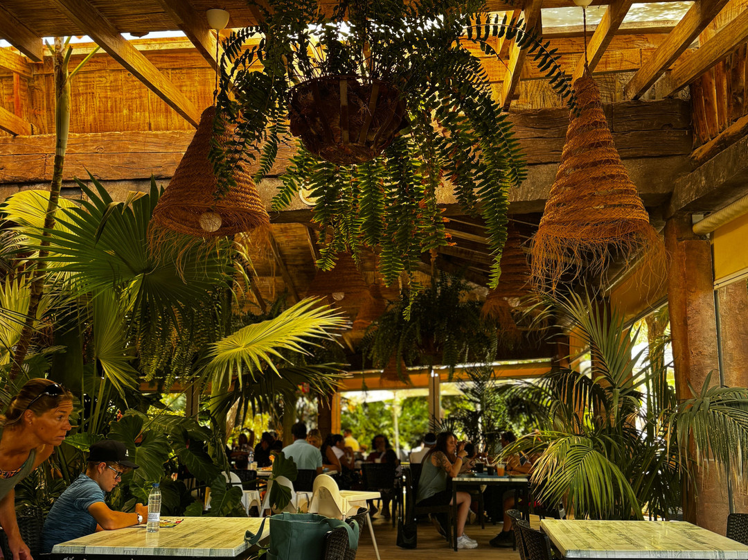 Oasis Park Fuerteventura-La Lajita必去景点