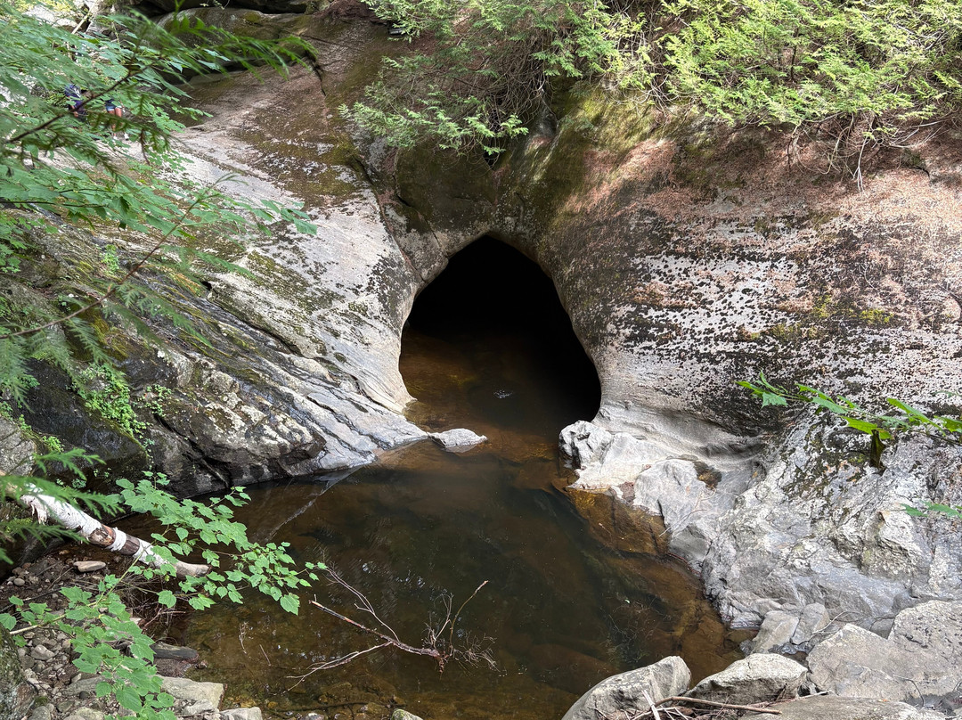 Natural Stone Bridge and Caves-Pottersville必去景点