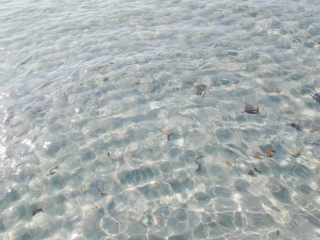 Simius Beach-维拉西谬斯必去景点