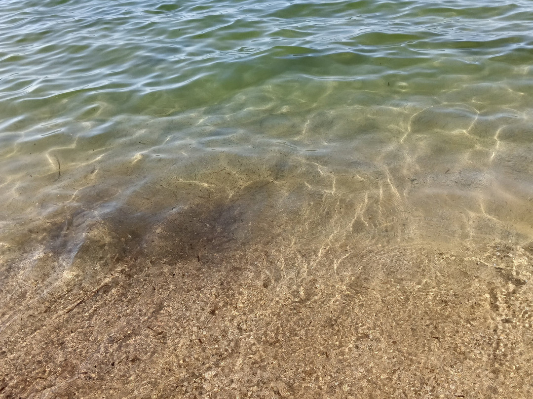 Procchio Beach-Procchio必去景点