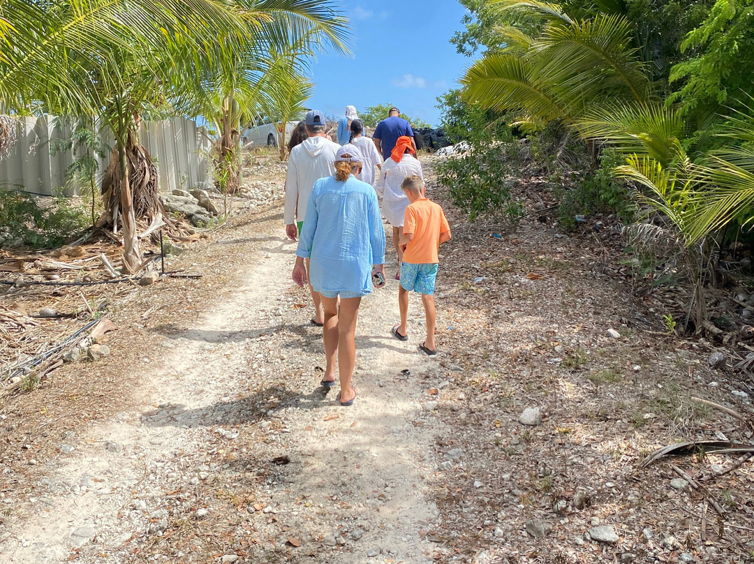 Caicos Dream Tours-普罗维登西亚莱斯必去景点