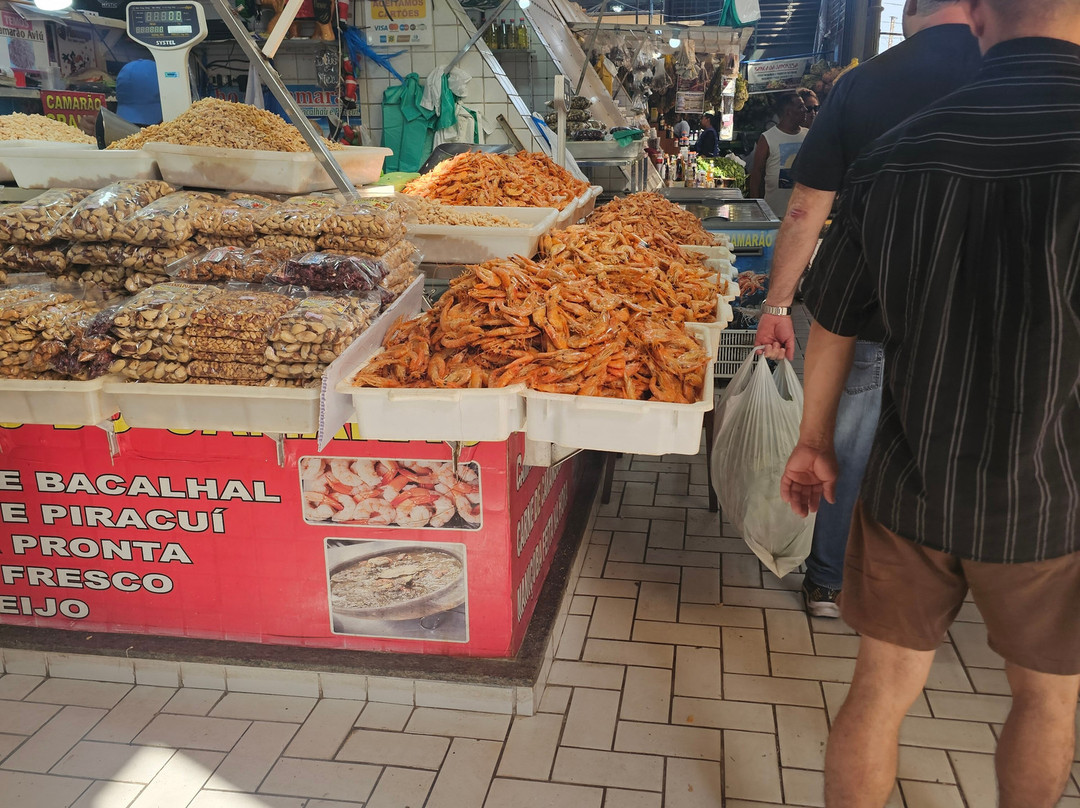Adolpho Lisboa Municipal Market-玛瑙斯必去景点
