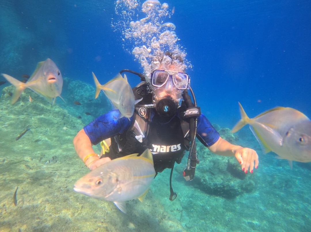 Blue World Diving Center-Tekirova必去景点
