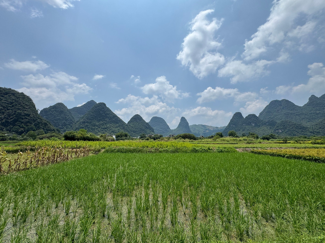 阳朔古迹山水园-阳朔县必去景点