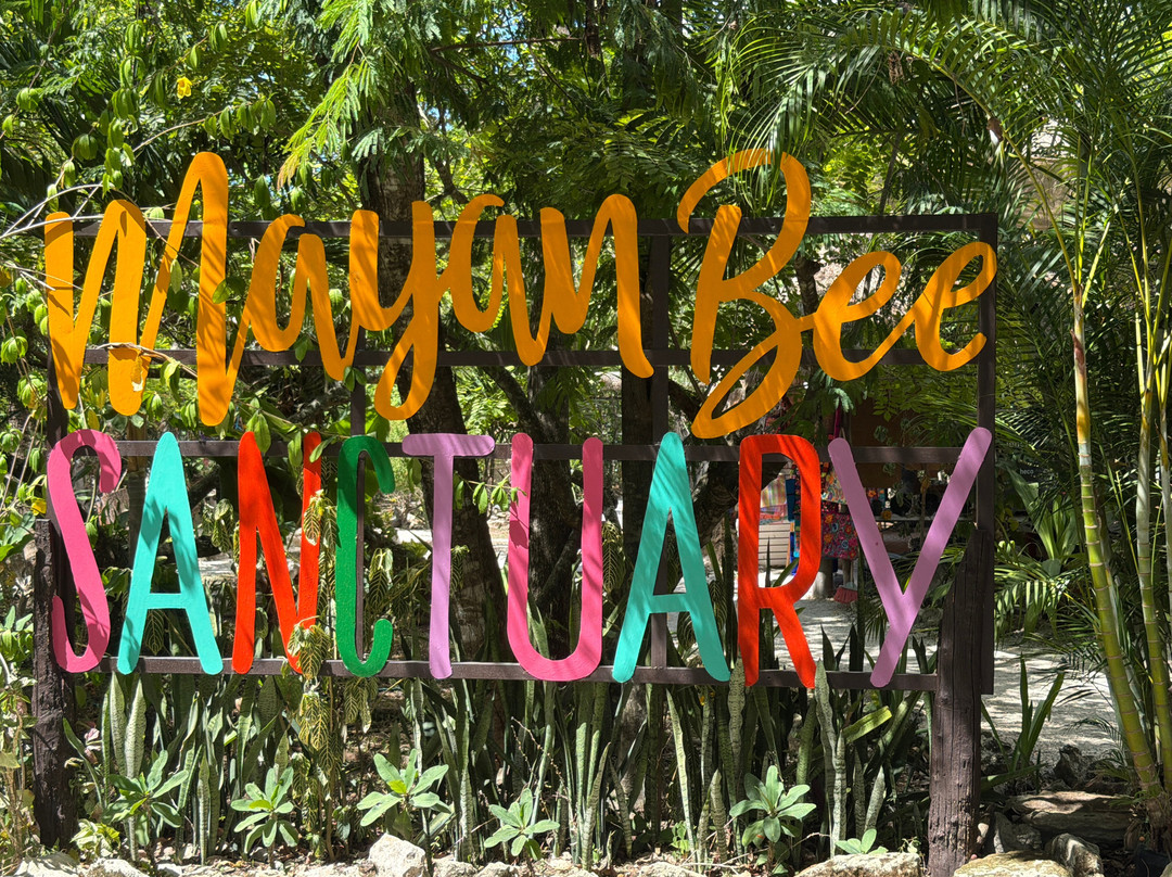 Mayan Bee Sanctuary-San Miguel de Cozumel必去景点