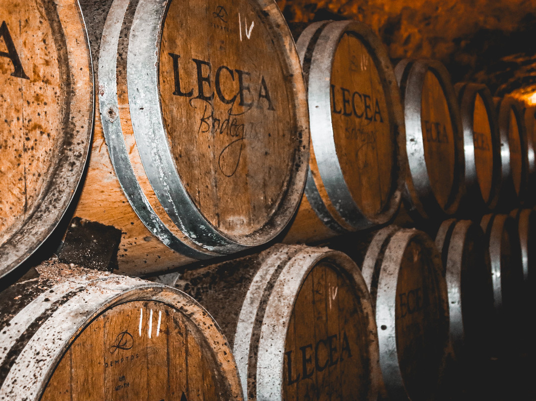 Bodegas Lecea-San Asensio必去景点