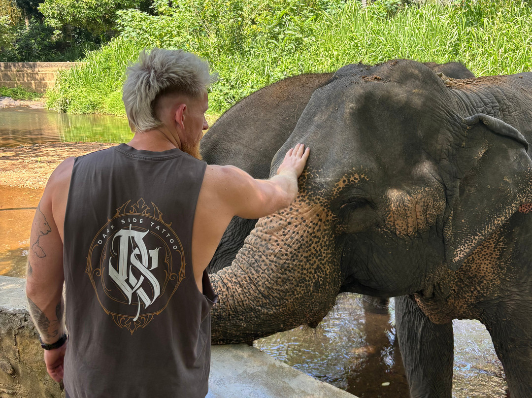 Elephant Freedom Project-凯格勒 必去景点