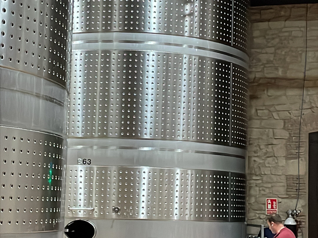 Bodegas Franco Espanolas-洛格罗尼奥必去景点