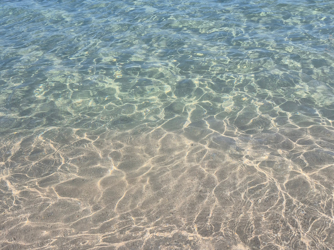 Lido Bacino Grande主图