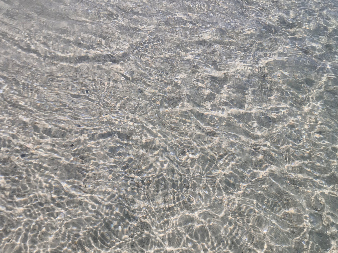 Coquina Beach-Bradenton Beach必去景点