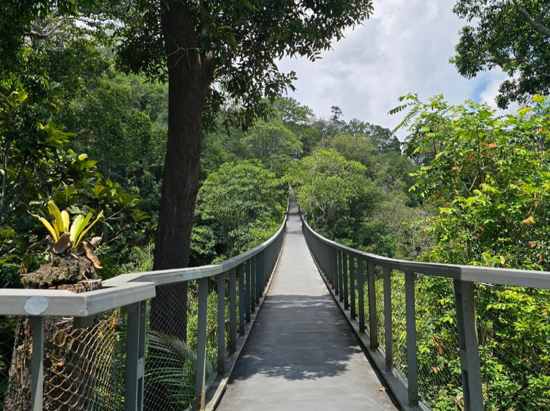 The Habitat Penang Hill-槟城岛必去景点