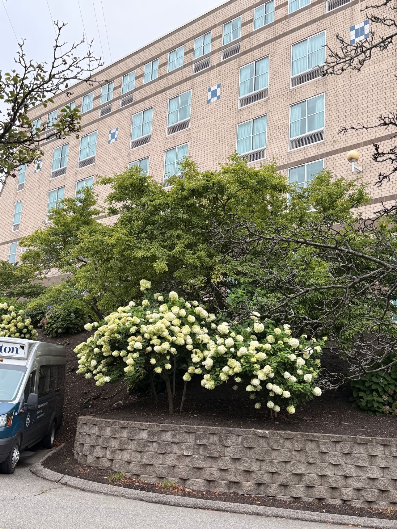 波士顿尼德姆喜来登酒店-旅行者