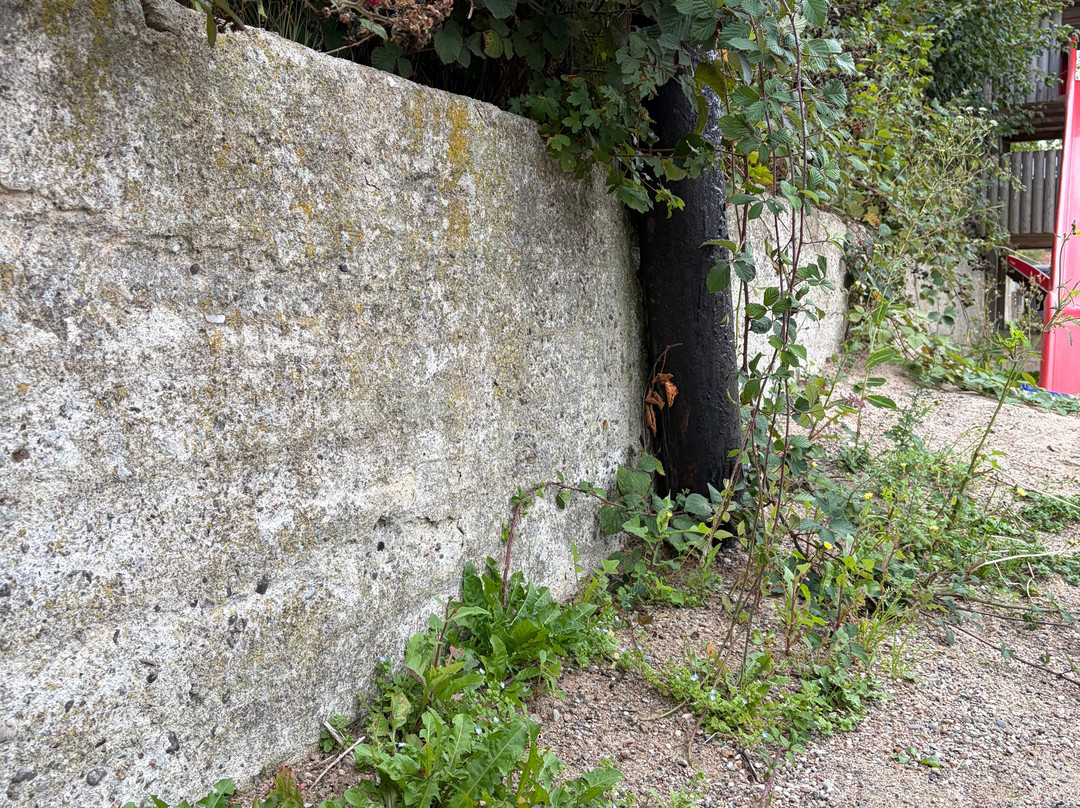 Straußenfarm Ostseeblick-Hohenfelde (Plon)必去景点