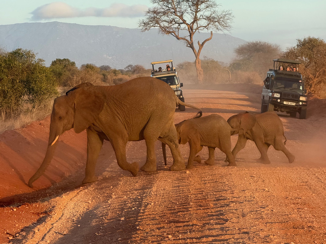 Safari In Kenya Con Samba-瓦塔木必去景点