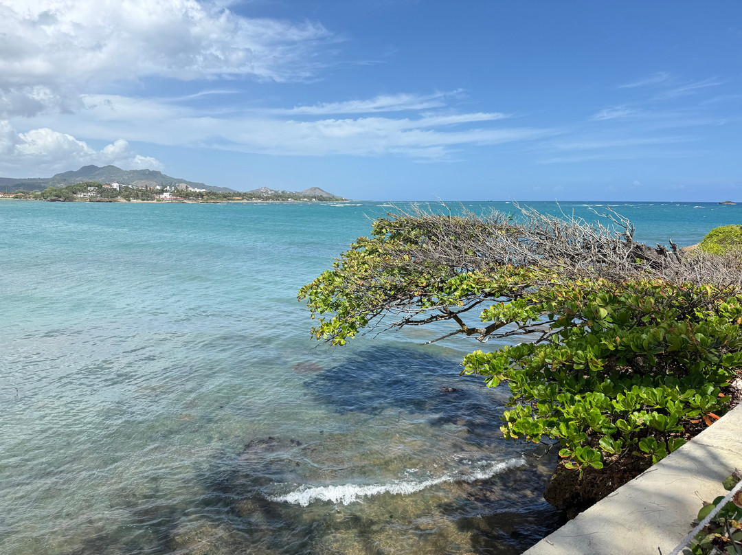 Tony tours by Amgmt Puerto Plata Shore Excurcions-普拉塔港必去景点