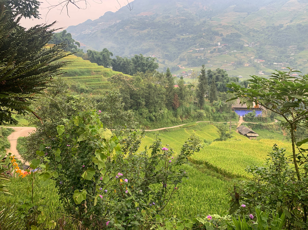 Sapa Big Tree Hmong Homestay主图