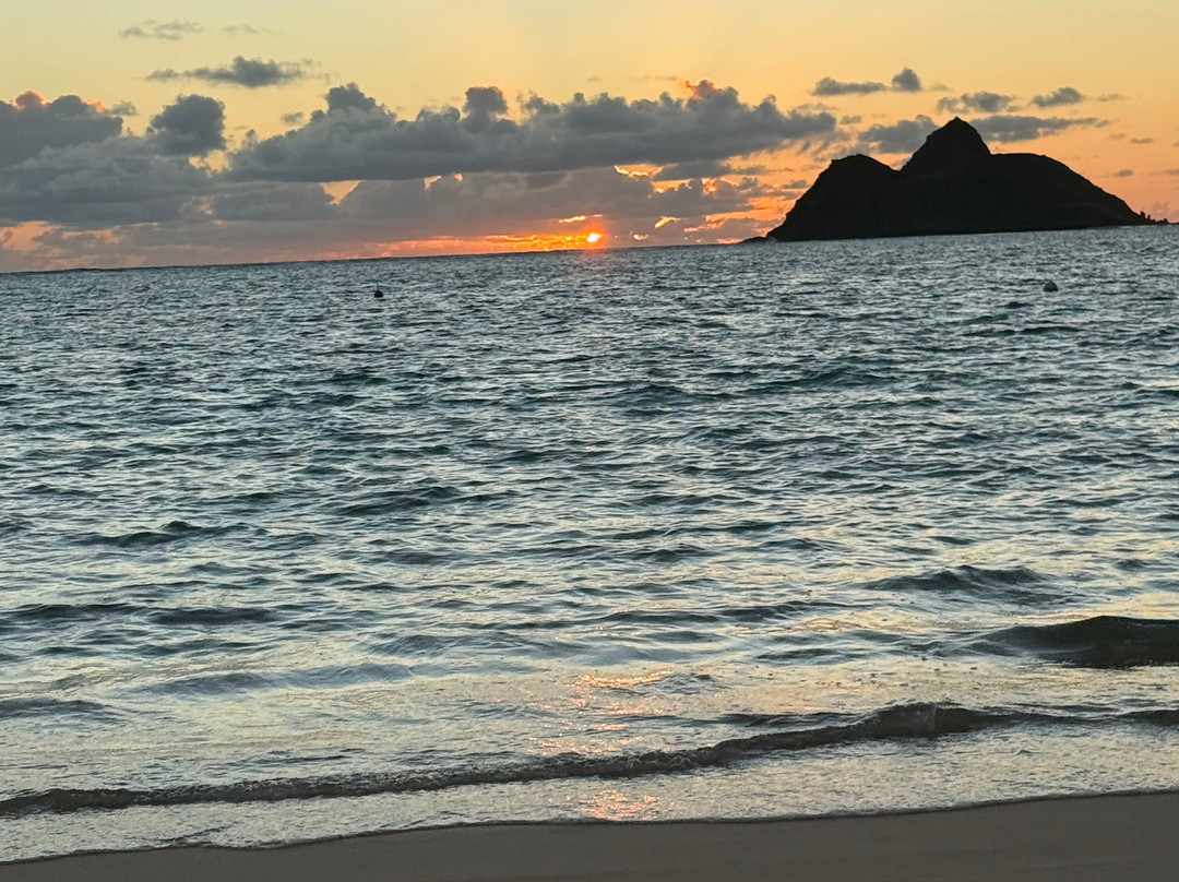 拉尼凯海滩-科纳必去景点