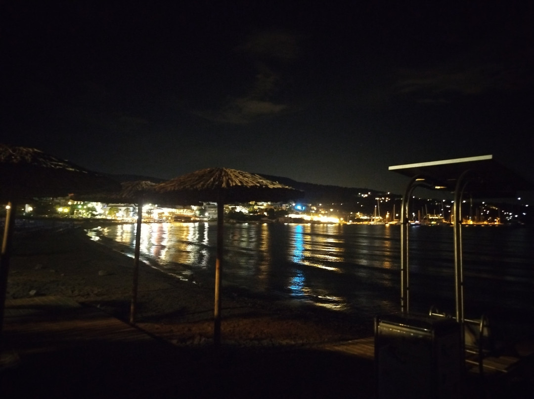 Coconut Beach Bar