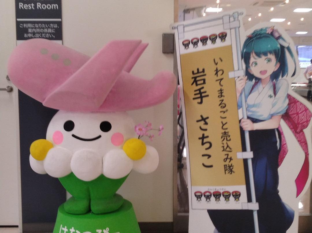 Iwate Hanamaki Airport Information Center-花卷市必去景点