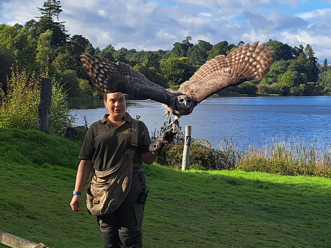 Blair Drummond Safari & Adventure Park-斯特灵必去景点