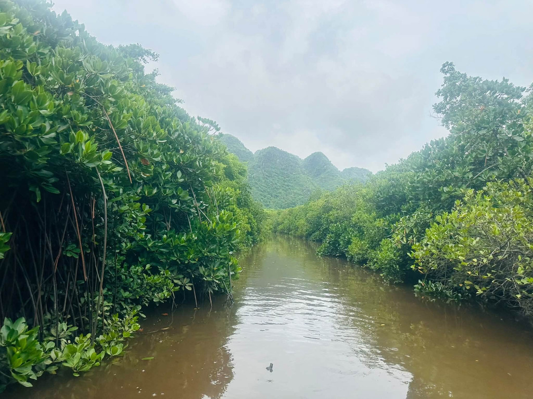 Cai Beo Floating Village-Cat Ba Town必去景点