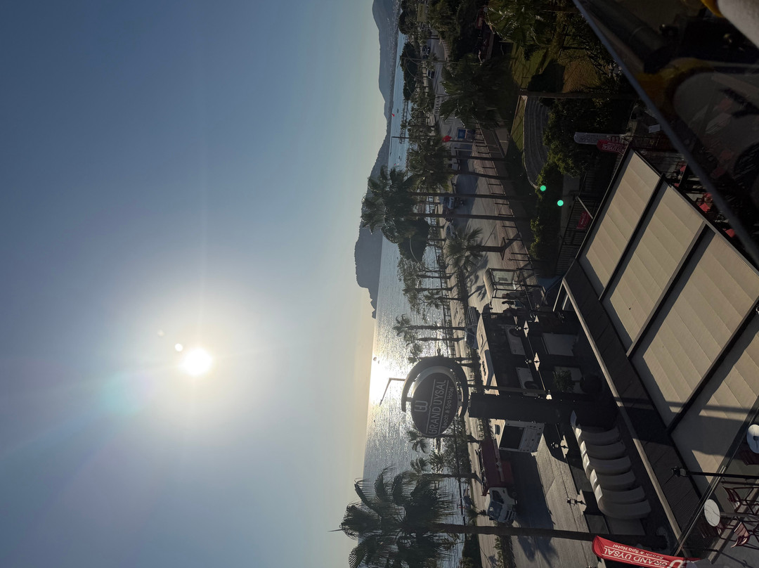 大阿似博海滩和水疗酒店 - 全包主图