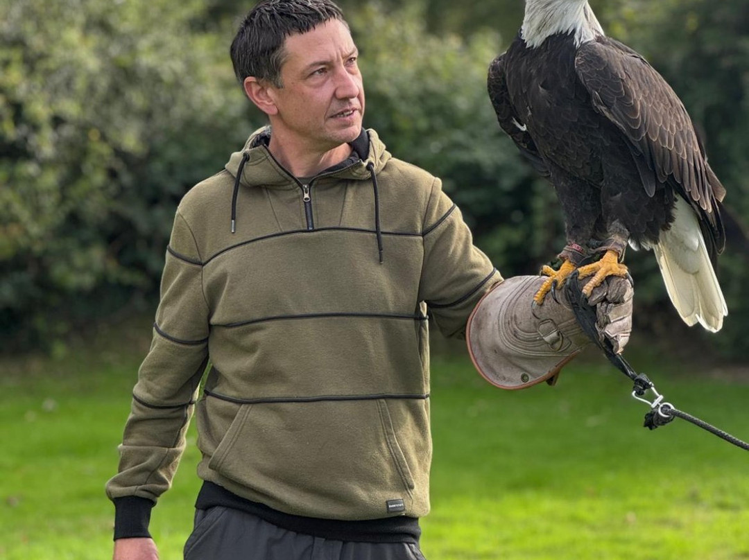 Falconry Experience Wales-Newtown必去景点