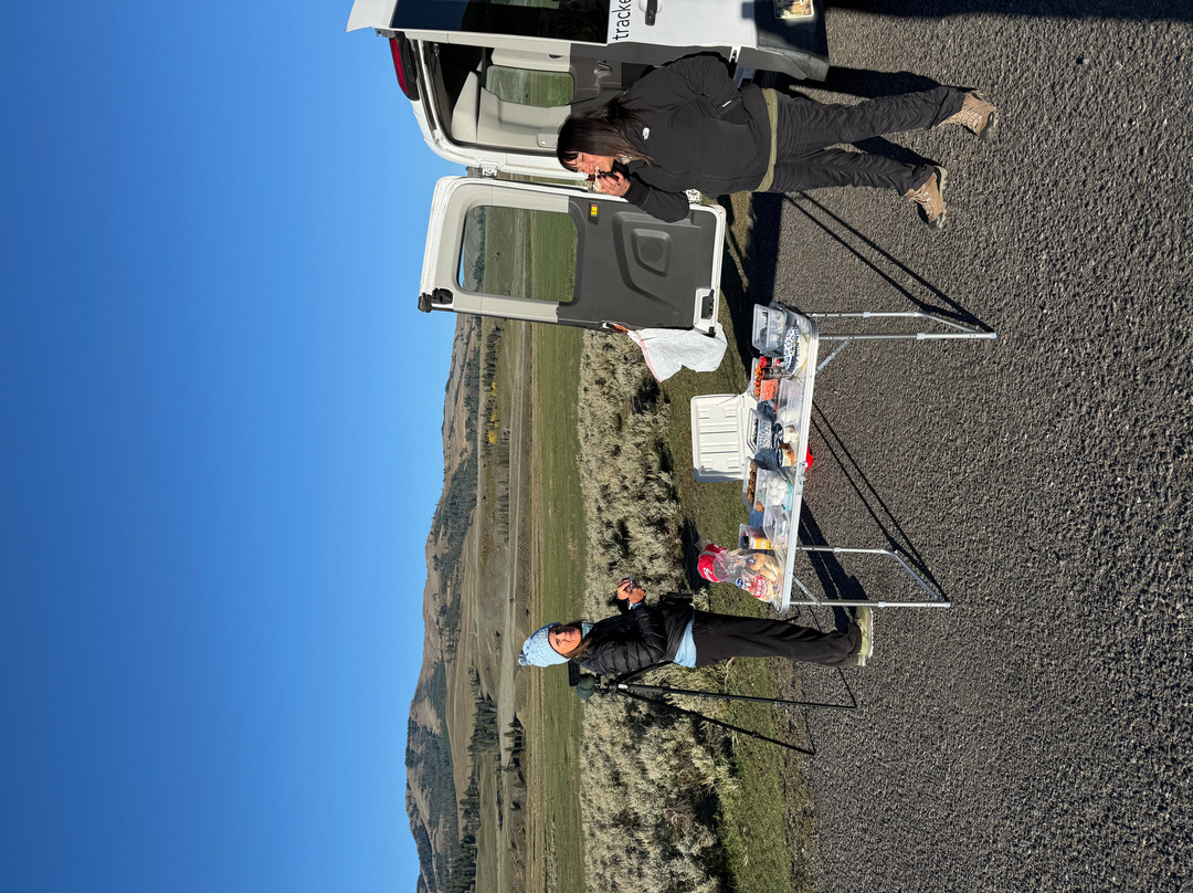 Yellowstone Wolf Tracker-加德纳必去景点