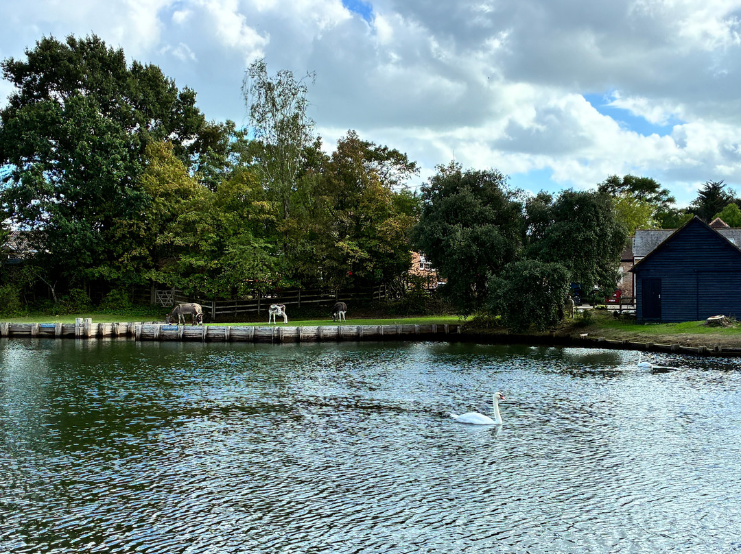 Beaulieu National Motor Museum-Beaulieu必去景点