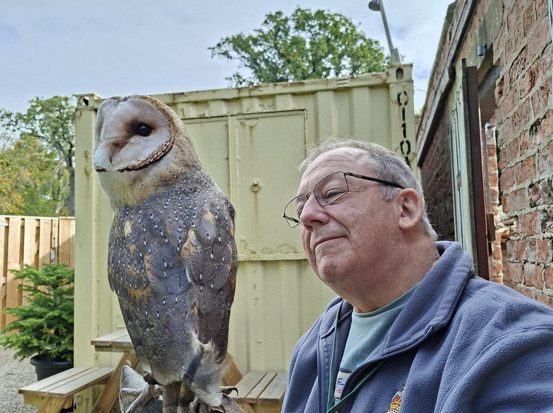Thirsk Birds Of Prey Centre-瑟斯克必去景点