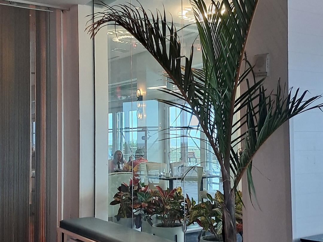 阿勒格利亚酒店主图