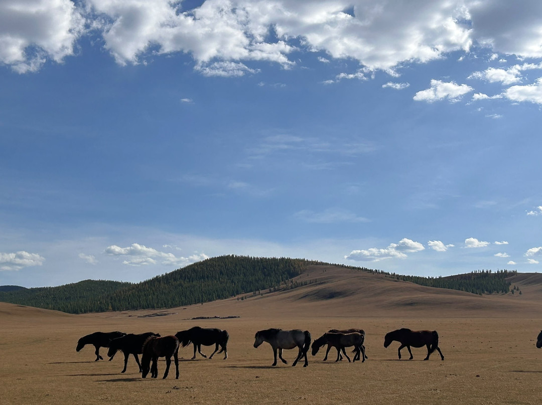 Sunpath Mongolia-乌兰巴托必去景点