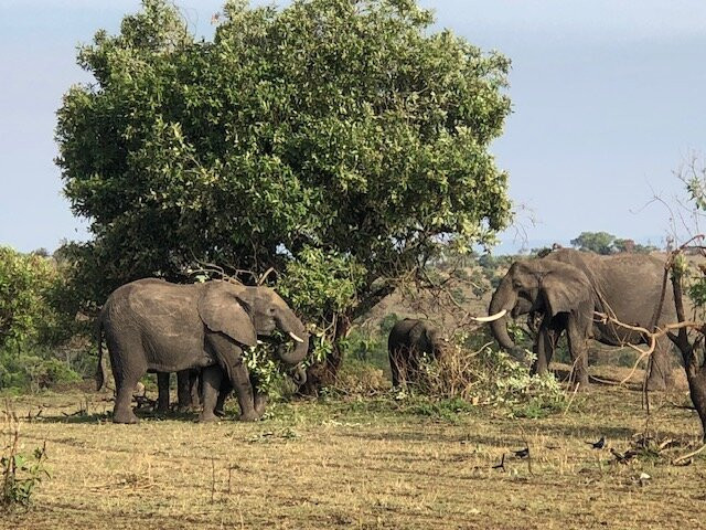 Unlimited Expeditions - The Soul Of Tanzania-阿鲁沙必去景点