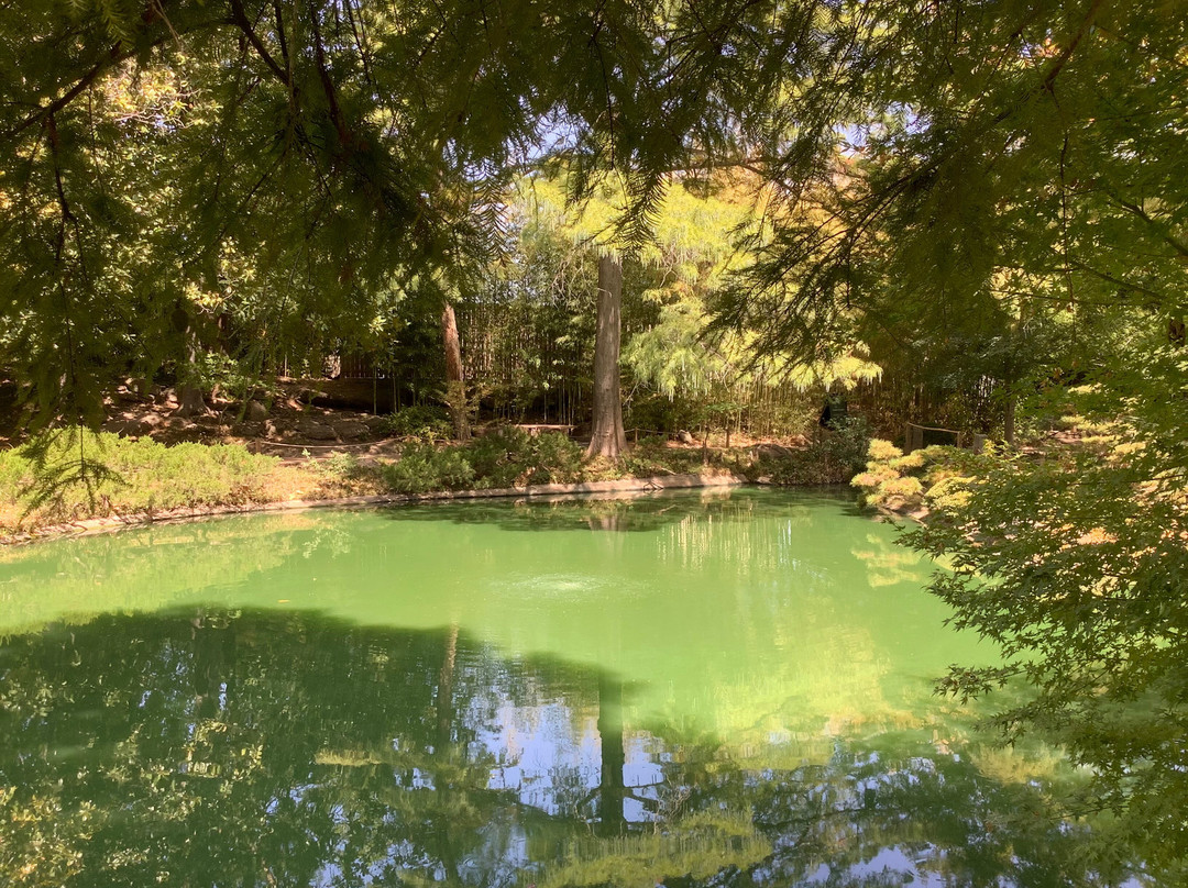 Fort Worth Botanic Garden-沃思堡必去景点