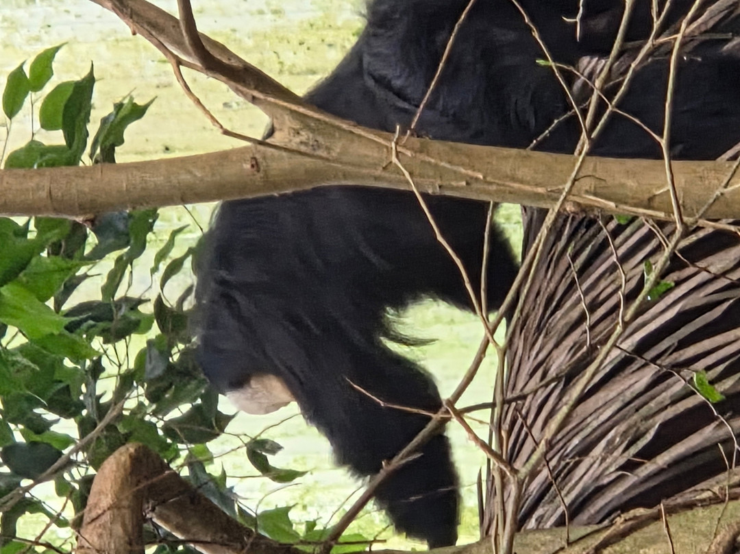 Wildlands Adventure Zoo Emmen-Emmen必去景点