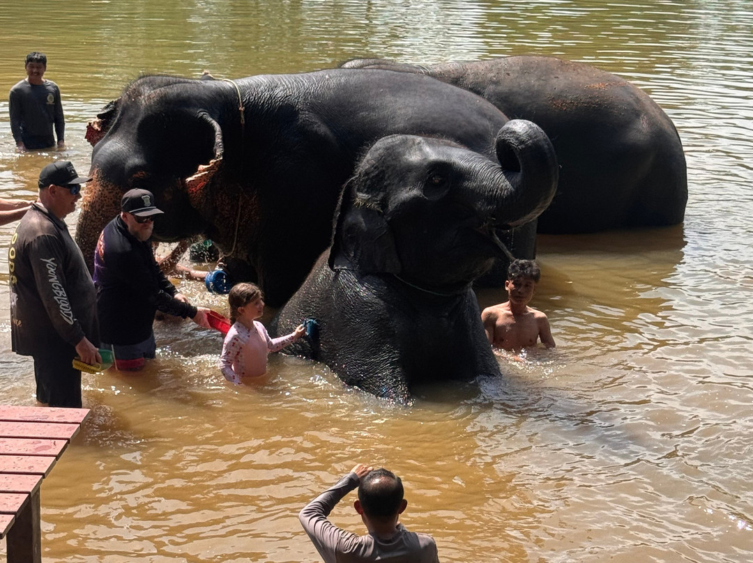 The Lake Phuket Elephant Home-Thep Krasatti必去景点