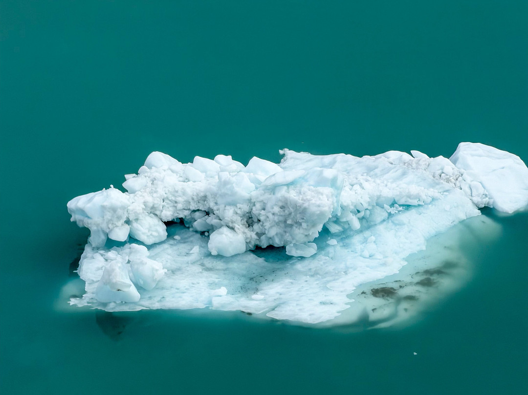 冰川湾-Glacier Bay National Park and Preserve必去景点