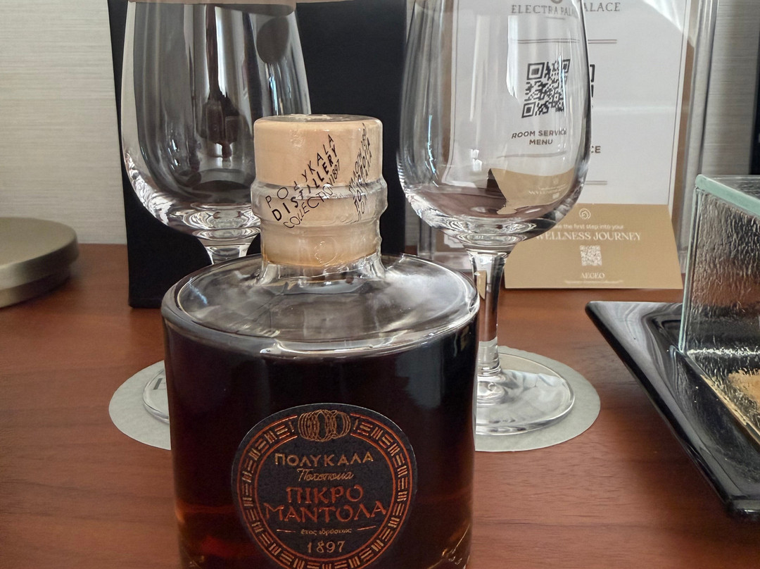 萨洛尼卡伊莱克特拉酒店主图