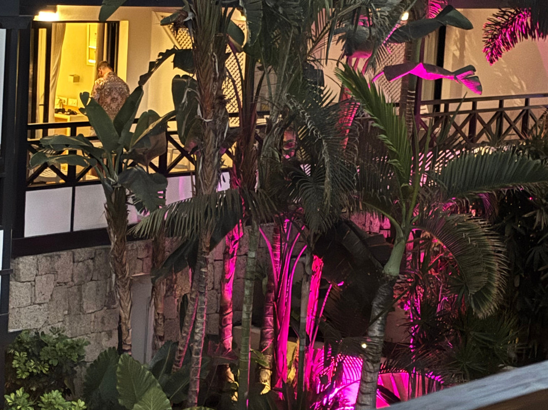 香草花园精品酒店-限成人主图