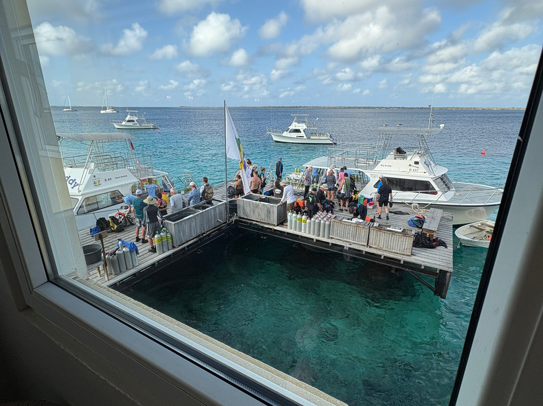 Buddy Dive Water Sports-Kralendijk必去景点