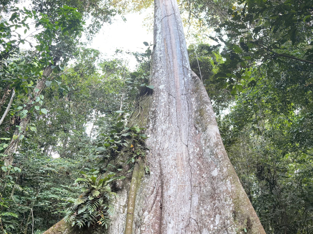 Peru Amazon Expeditions-Manu必去景点