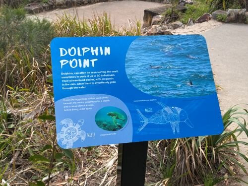 Dolphin Point Lookout-Noosa Heads必去景点