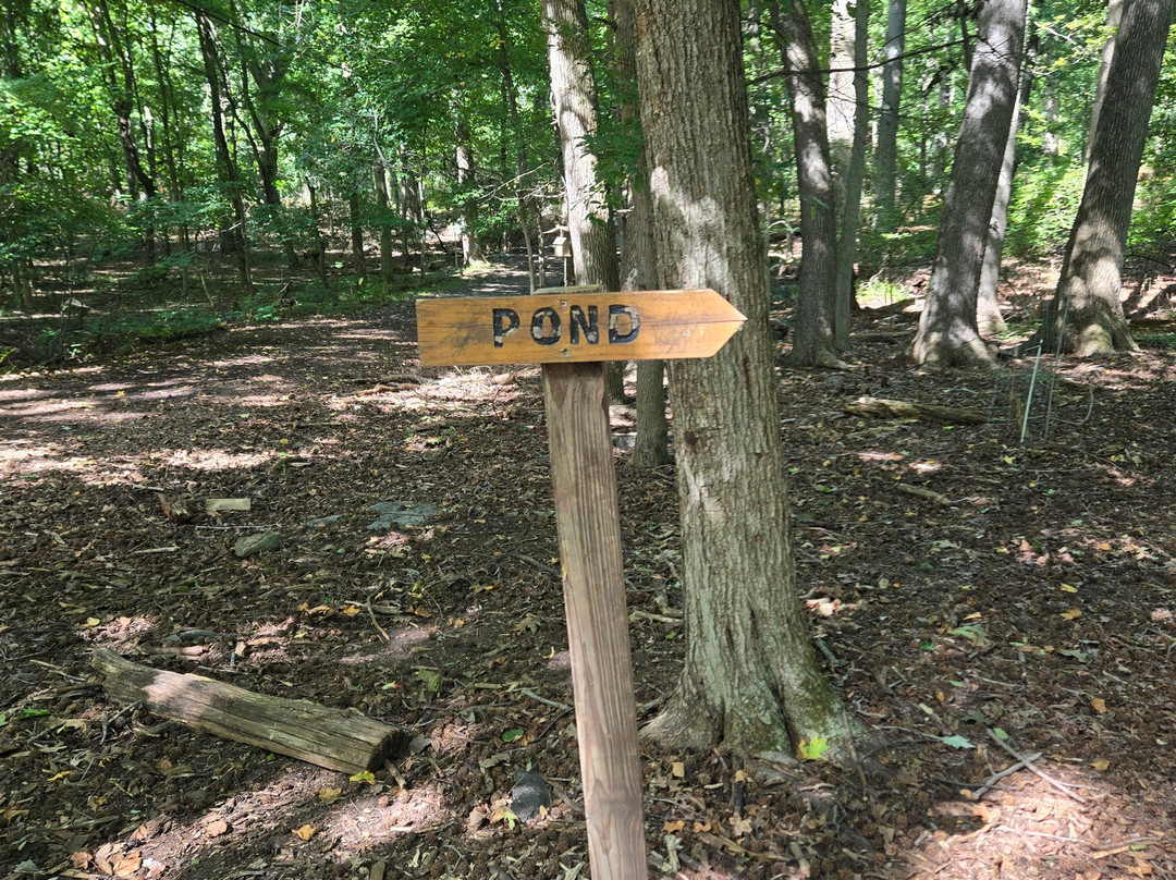 Rye Nature Center-Rye必去景点