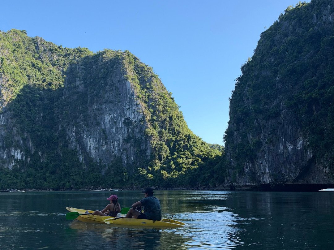 Cat Ba Ocean Cruises-广宁省必去景点