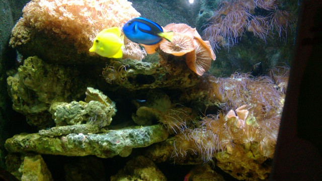 杭州海底世界-杭州市必去景点